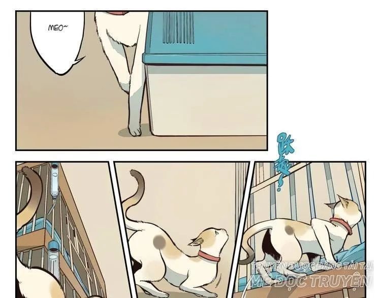 thời khắc ấy, chúng ta gặp nhau chapter 10 6