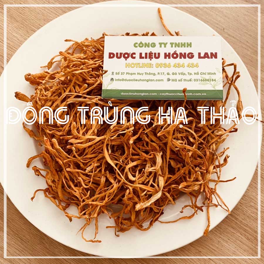 ✅ 500g Đông Trùng Hạ Thảo Sấy Khô Sợi To Ngon Hàng Cao Cấp