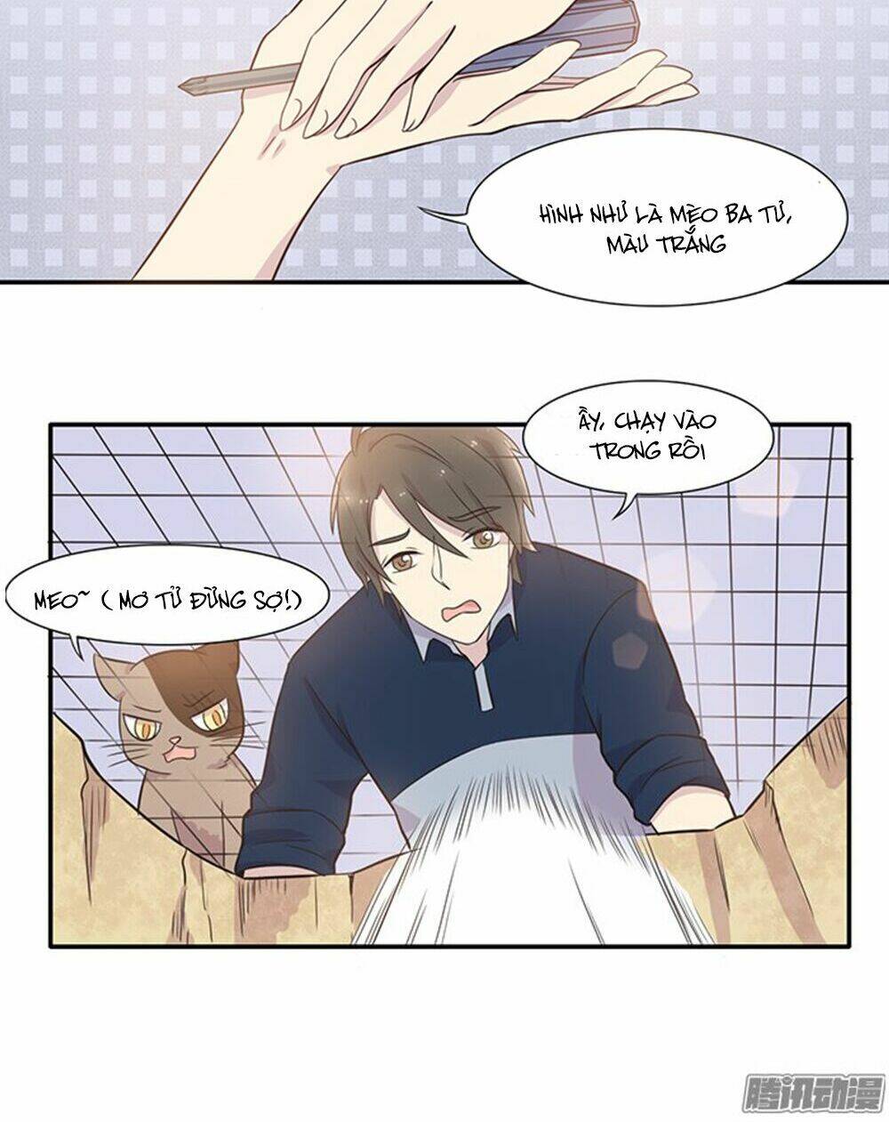 hai chú mèo totem chapter 13 7