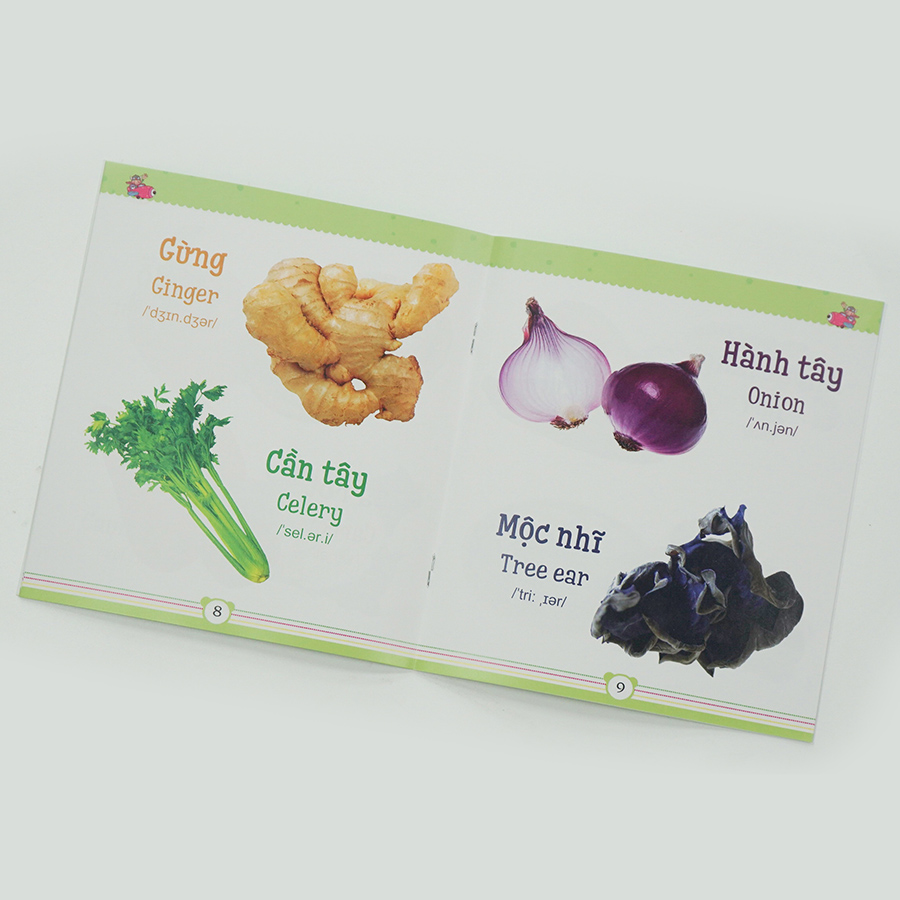 Combo 2 : Từ điển bằng tranh dành cho trẻ em