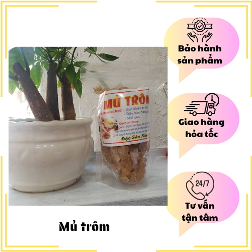 Đặc Sản Nha Trang -Mủ Trôm Nguồn Dưỡng Chất Tự Nhiên, Giải Độc, Nấu Nước Uống Mát, Seavy Gói 500g