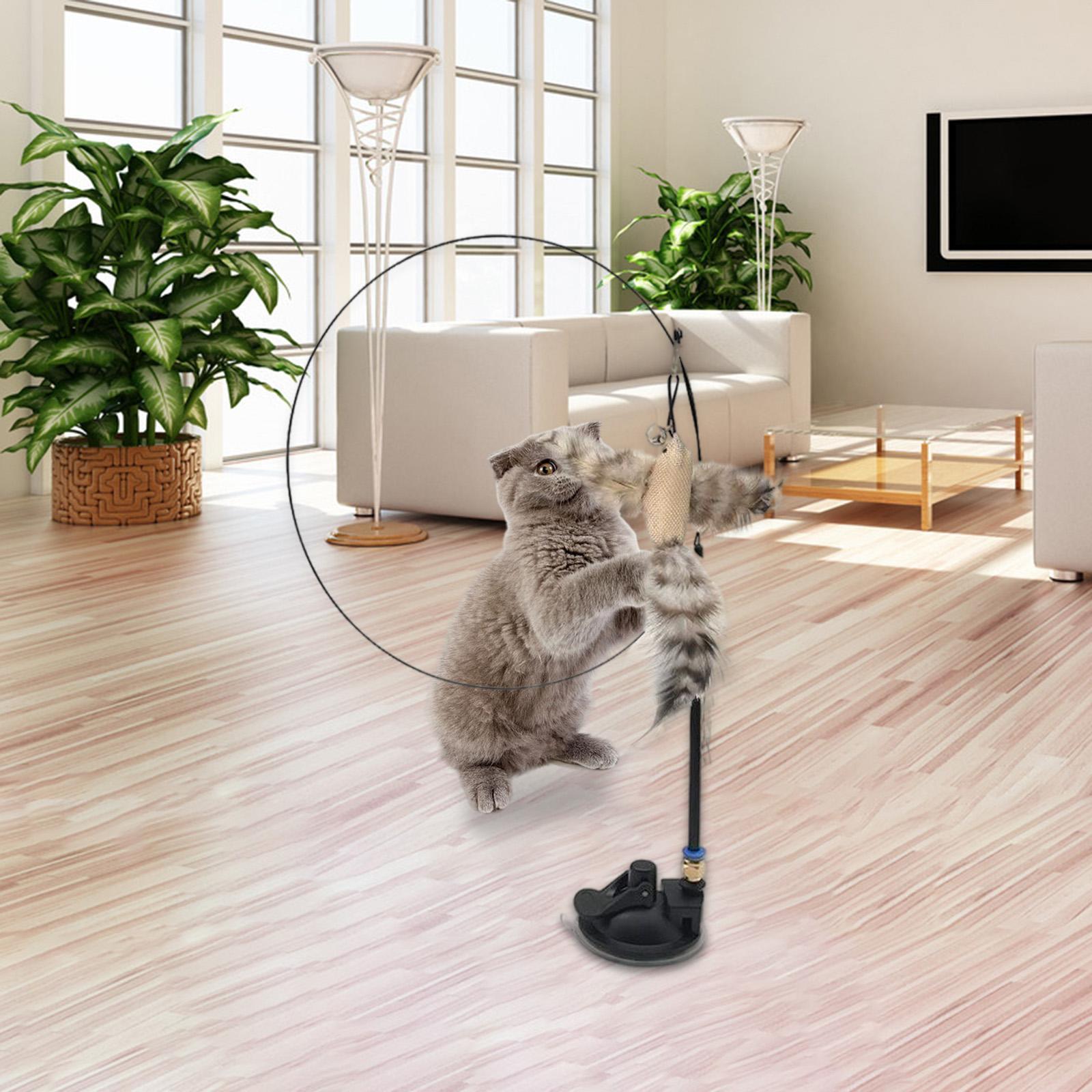 Cat Feather Toy Interactive Teaser  with  Kitten Indoor Exercise