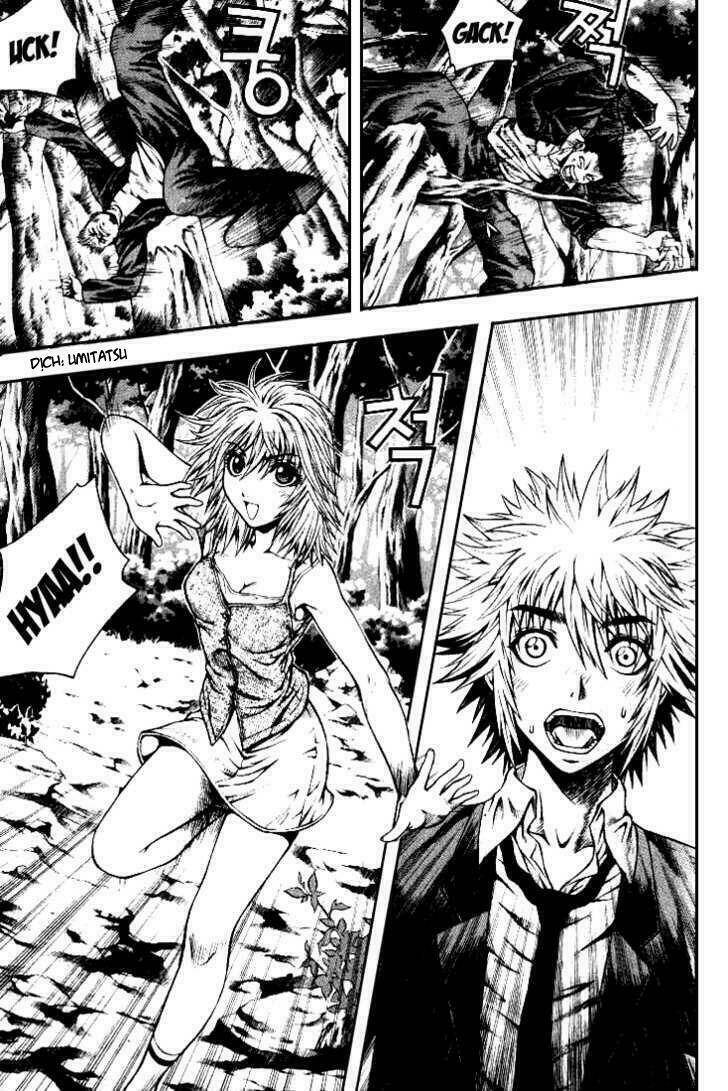 zippy ziggy chapter 1 42