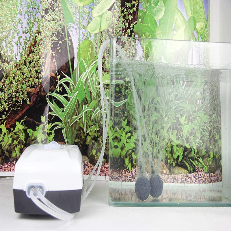 Máy thổi oxy tích điện 2 vòi ĐỀ PHÒNG CÚP ĐIỆN hiệu JEBO 9950 thích hợp cho hồ cá cảnh, hồ thủy sinh và đi câu cá