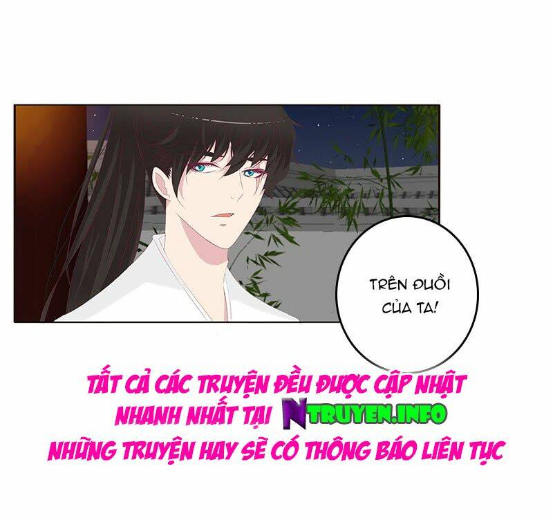 tướng quân mời ra trận chapter 115 16