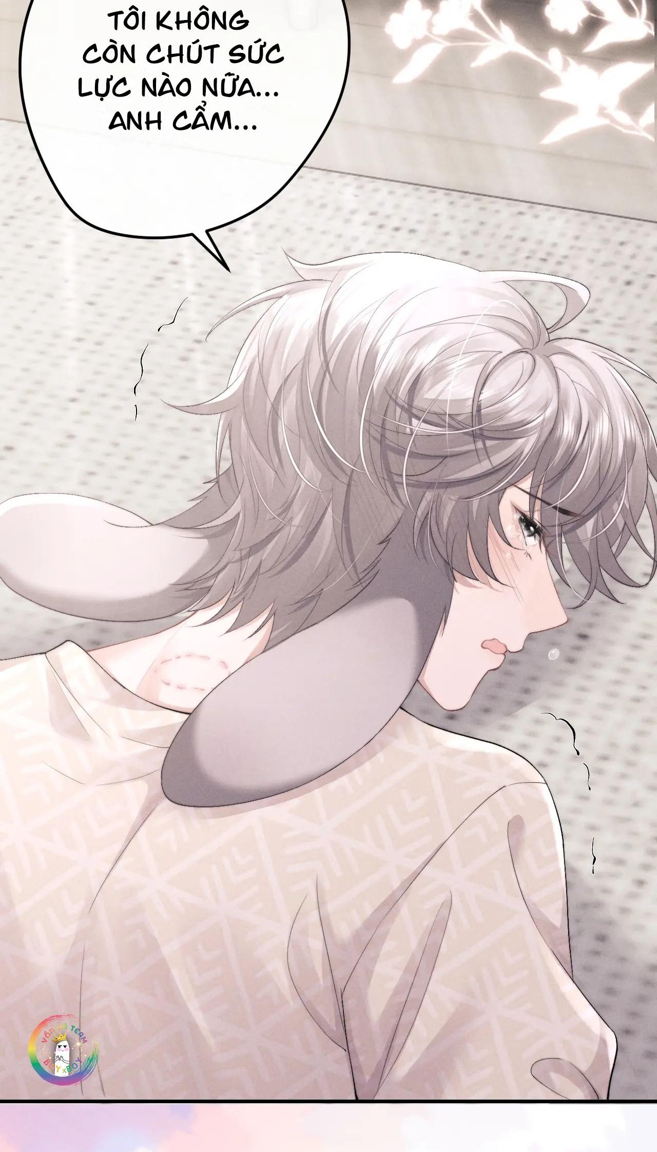 chấp sự thỏ tai cụp chapter 42 37