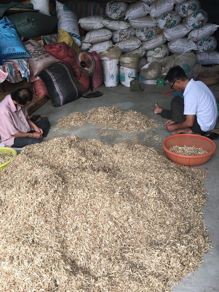 Nhang Trầm Hương Không Tăm Phúc Nguyên - Nhang Trầm Thư Giãn