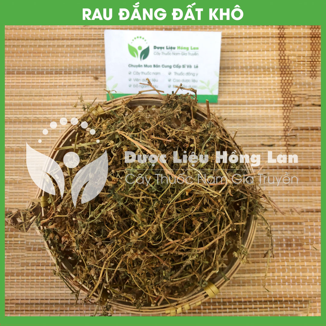 Cây Rau Đắng Đất khô sạch đóng gói 500gram