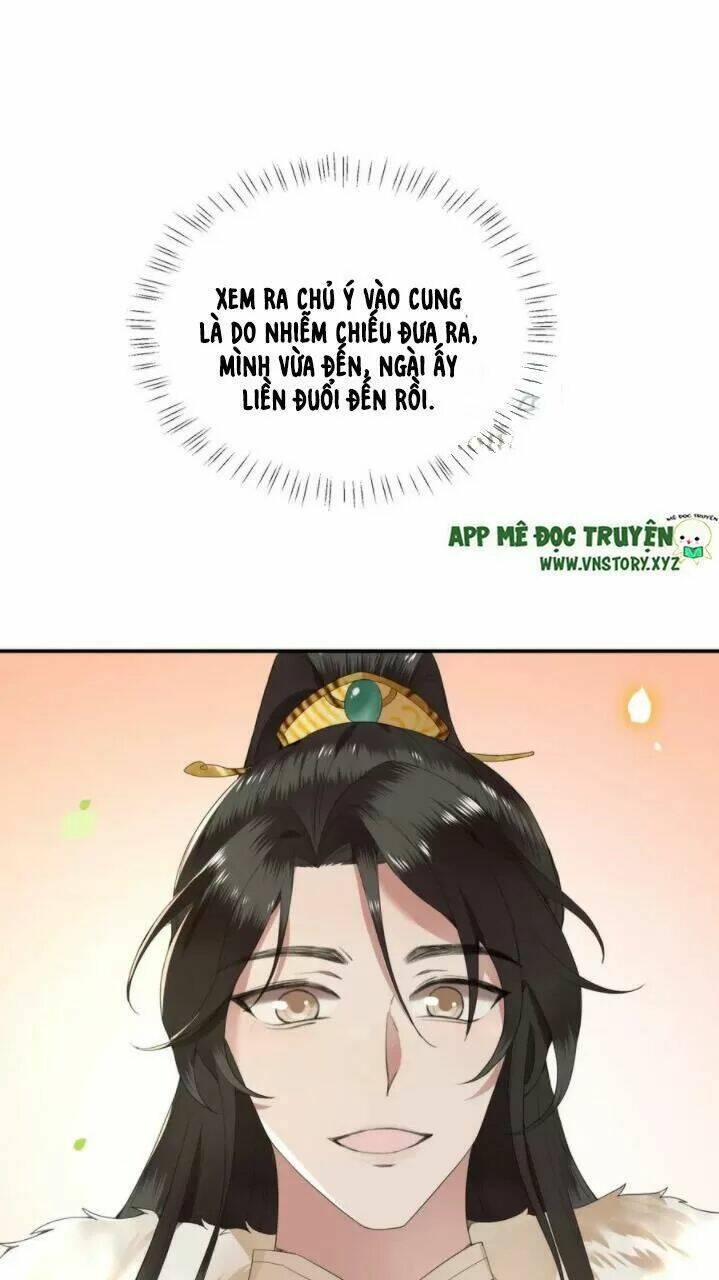 phượng hoàng vu phi chapter 69 28