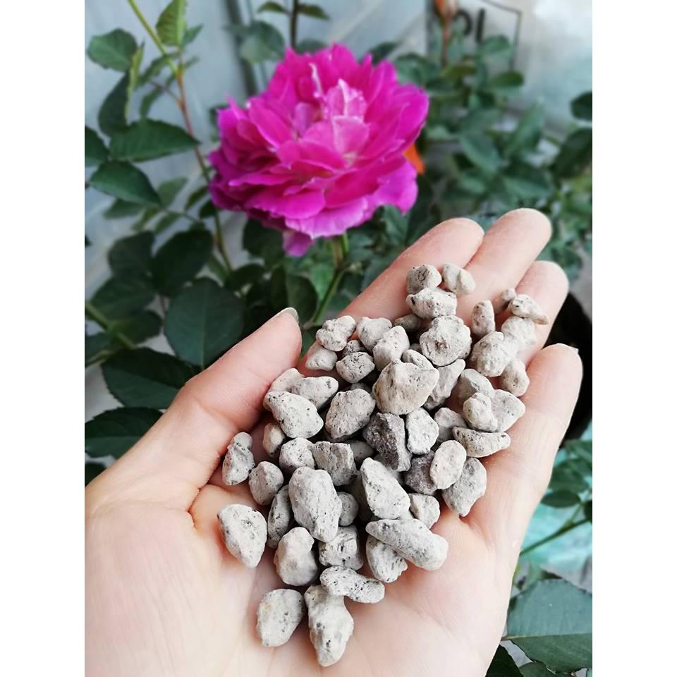 (500gr ) Đá Pumice (đá bọt núi lửa) (size 0.5-0.8cm ) trồng cây thoát nước, giữ ẩm, nhẹ trồng ban công, tầng thượng