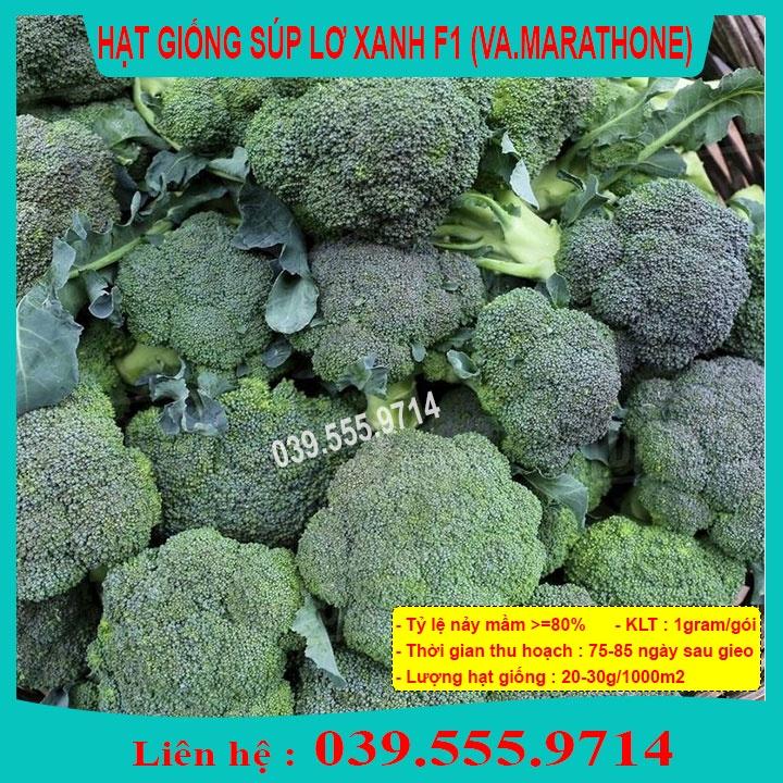 Hạt Giống Súp Lơ Xanh F1 Gói 1gram