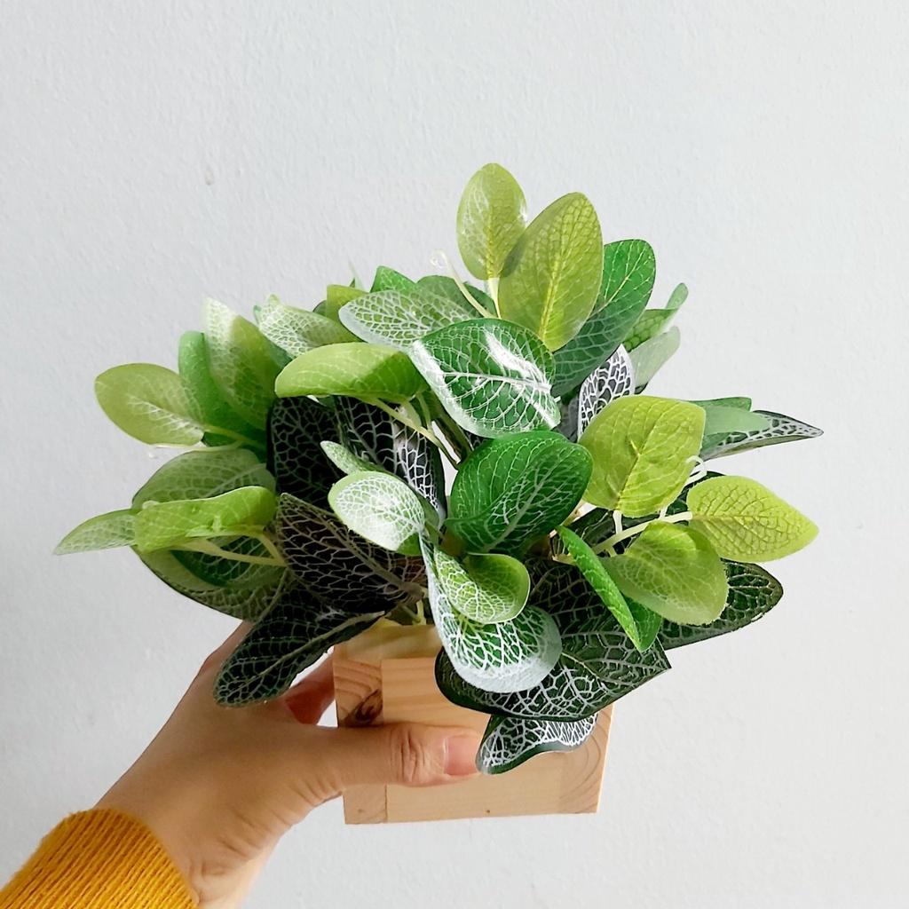 Chậu cây lá giả thường xuân cắm sẵn giỏ gỗ thông nhỏ xinh trang trí quầy lễ tân, góc học tập, kệ tủ xanh tươi