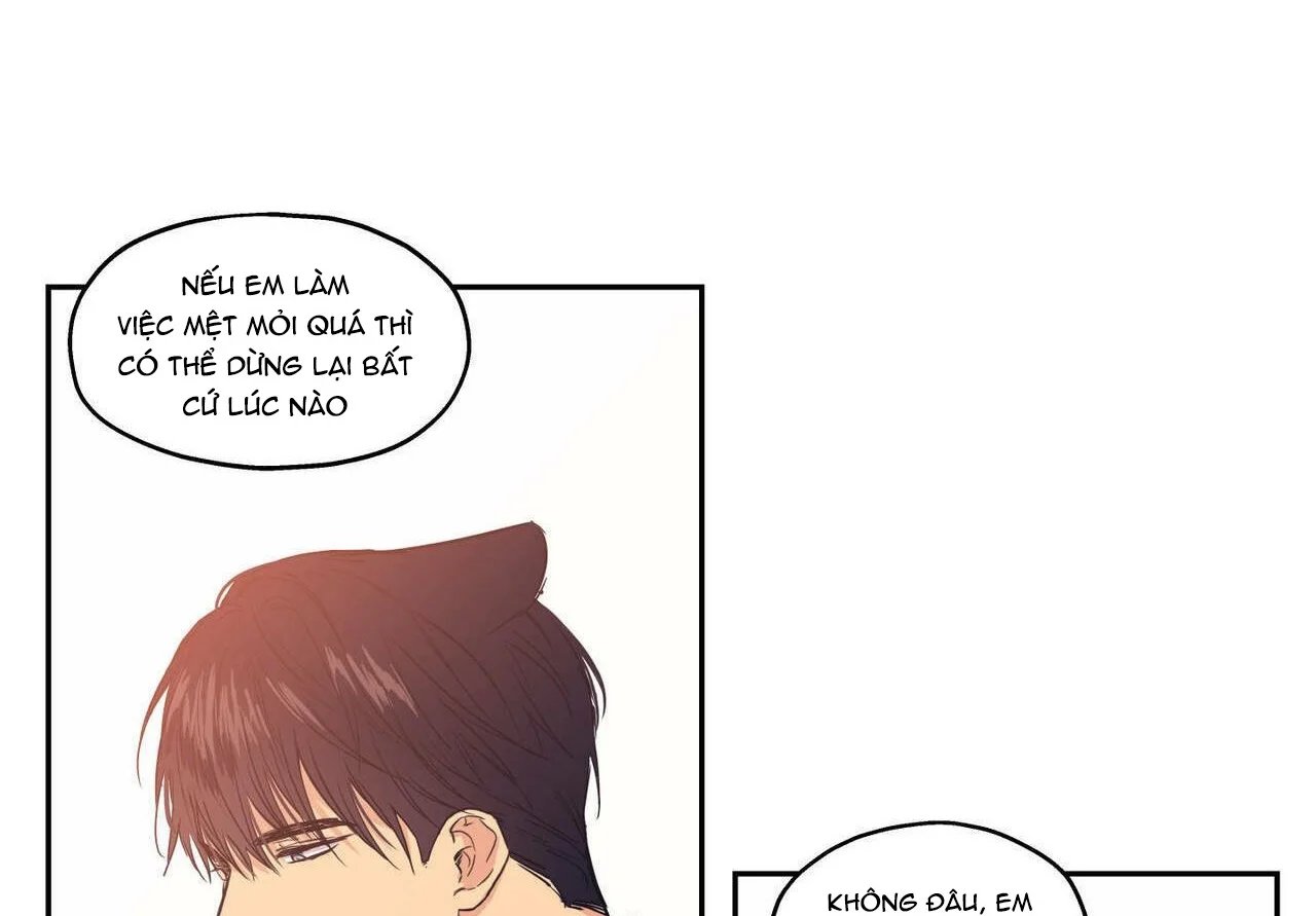 không chốn yêu đương chapter 81 102