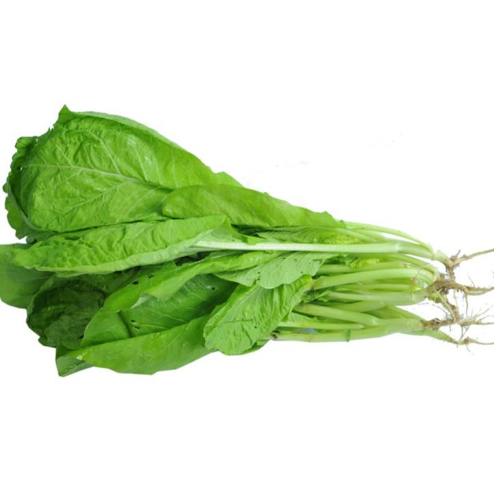 20gr Hạt giống cải mơ hoàng mai cao sản