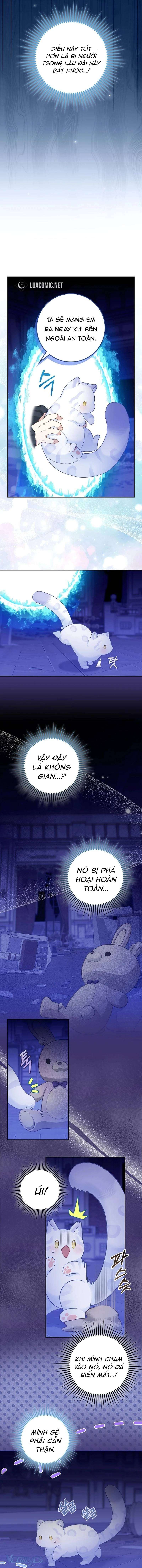 bé con báo tuyết của gia tộc báo đen chapter 3 12