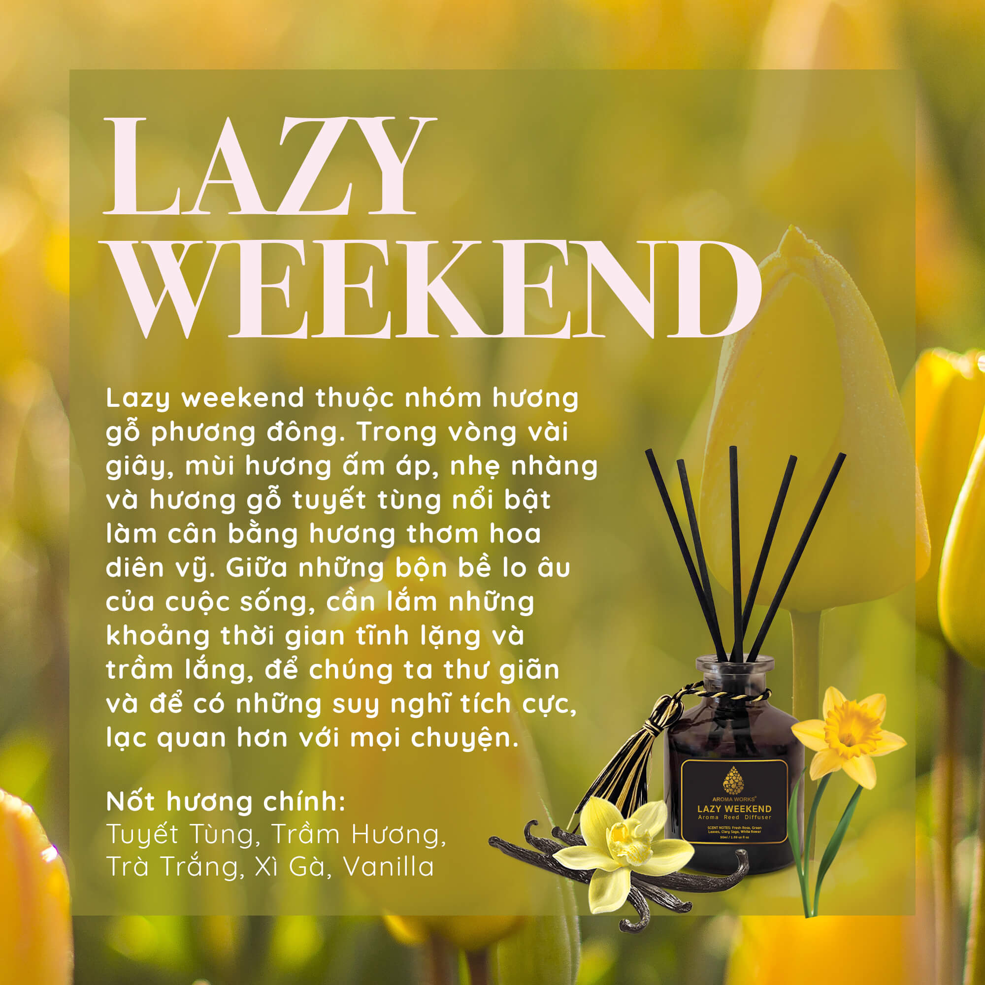 Tinh Dầu Tán Hương Thơm Phòng Cao Cấp Que Mây Aroma Works Reed Diffuser - Lazy Weekend