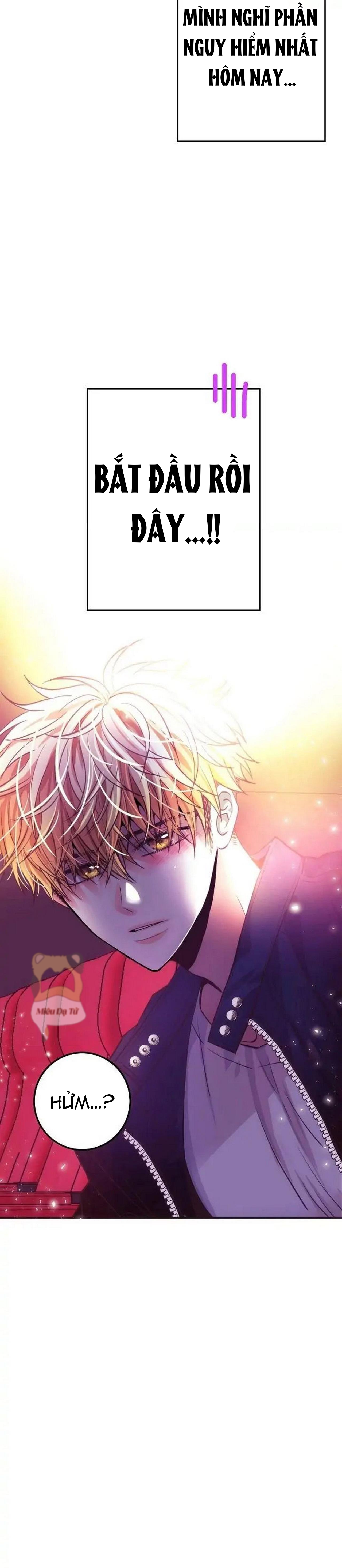 mối quan hệ phù hợp chapter 21 25