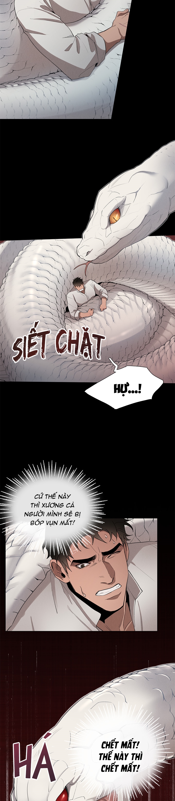 plaything - món đồ chơi của đại công tước chapter 14 4