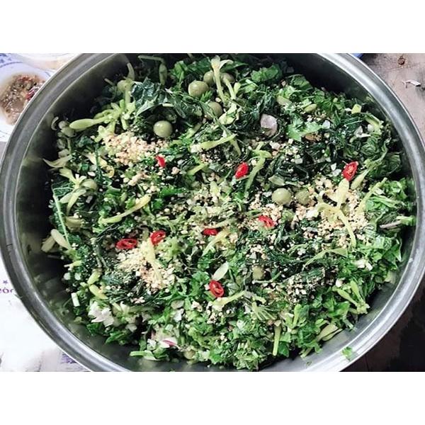 Cây giống Cà Đắng