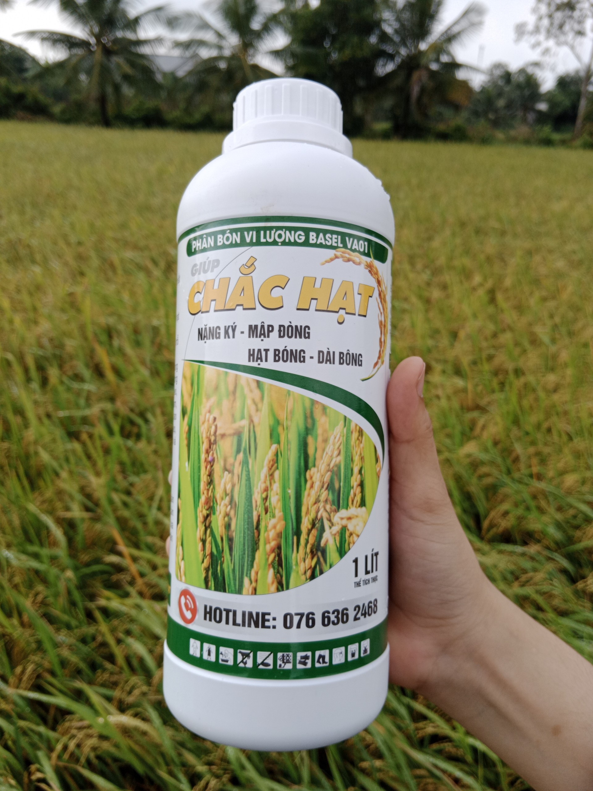 CHẮC HẠT