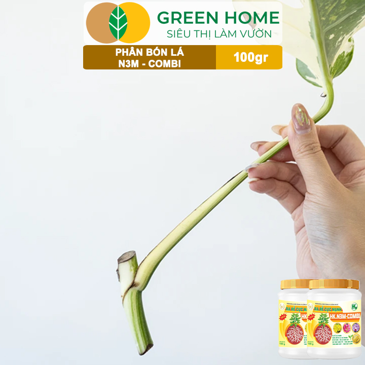 Phân Bón Lá Greenhome, N3M Combi, Hũ 100gr, Ra Rễ Cực Mạnh Dùng Giâm, Chiết Cành, Ngâm Hạt, Kiểng