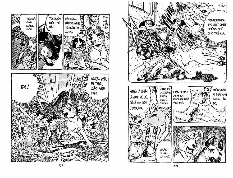 chú chó có nghĩa - ginga nagareboshi gin chapter 28 6