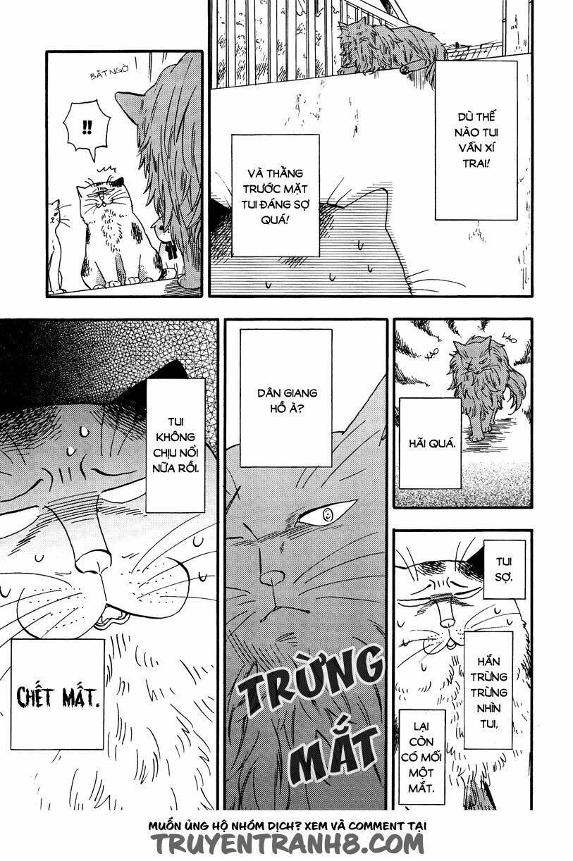 tui là busamen! chapter 5 6