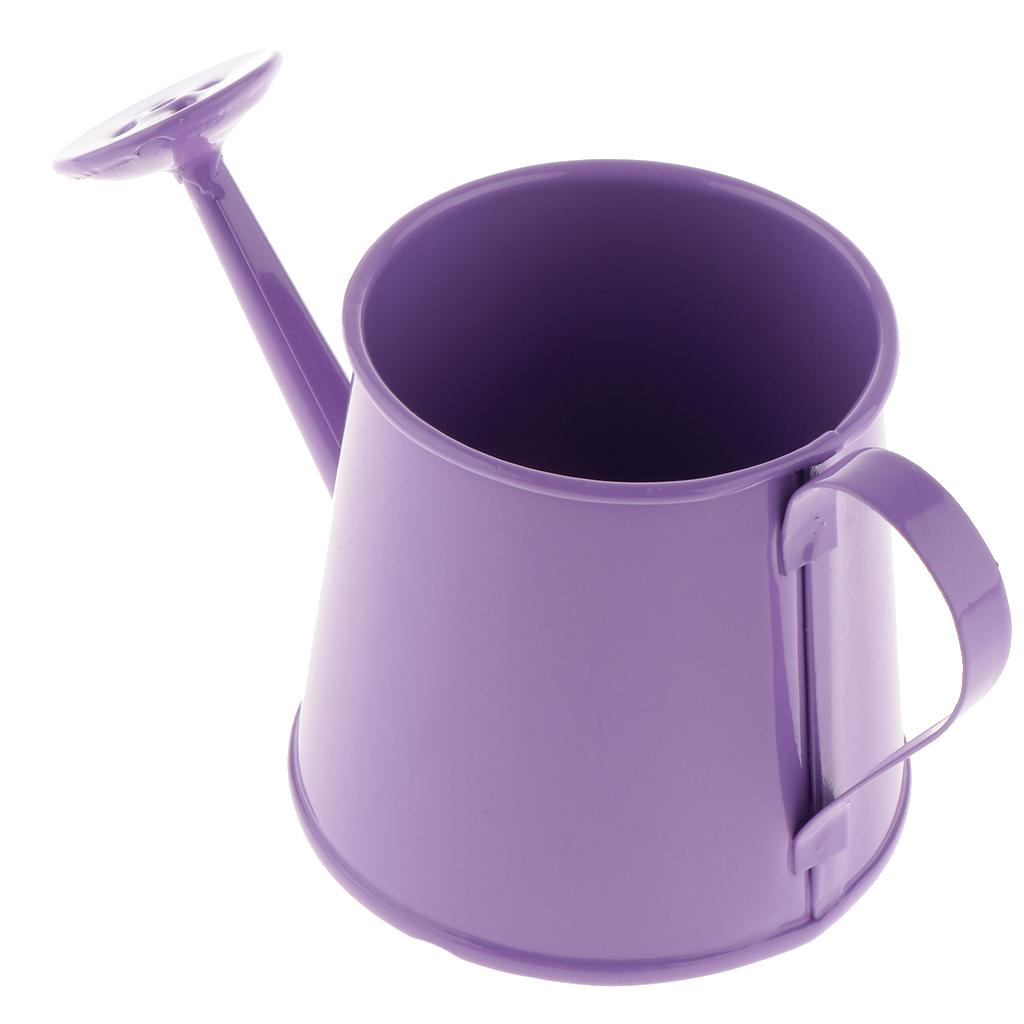 3x Pastoral Style Flower Watering Can Water Pot Sprayer Kettle for Small Plants