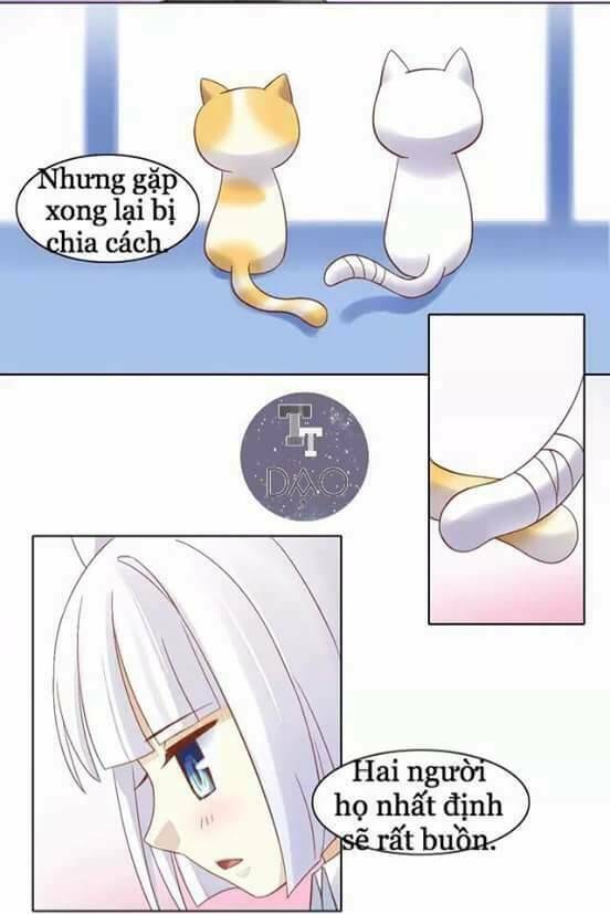 thị hoang chi thần chapter 9 16