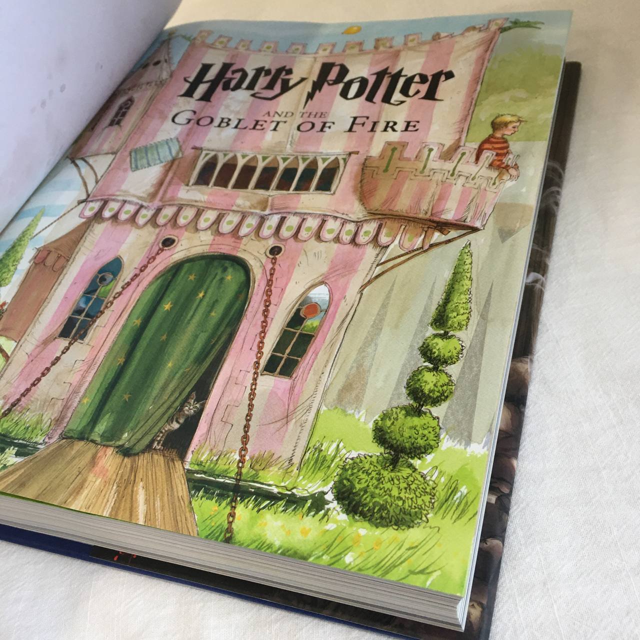 Sách - Harry Potter Illustrated Edition - US Version