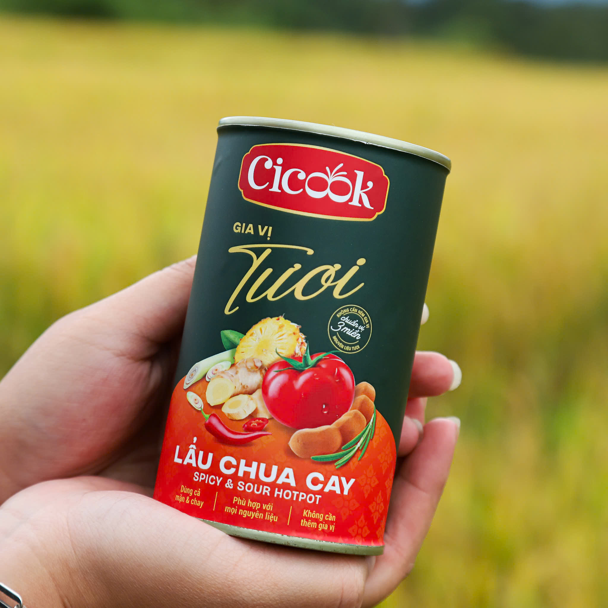 COMBO TẾT THẢNH THƠI CICOOK (3 Lon Xốt Lẩu Chua Cay 400G Tặng Xốt Nướng Mắc Khén 300G + 1 Hộp Gia Vị Ướp Nướng 30G
