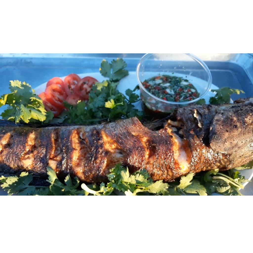 Lưỡi câu Phụ kiện Câu