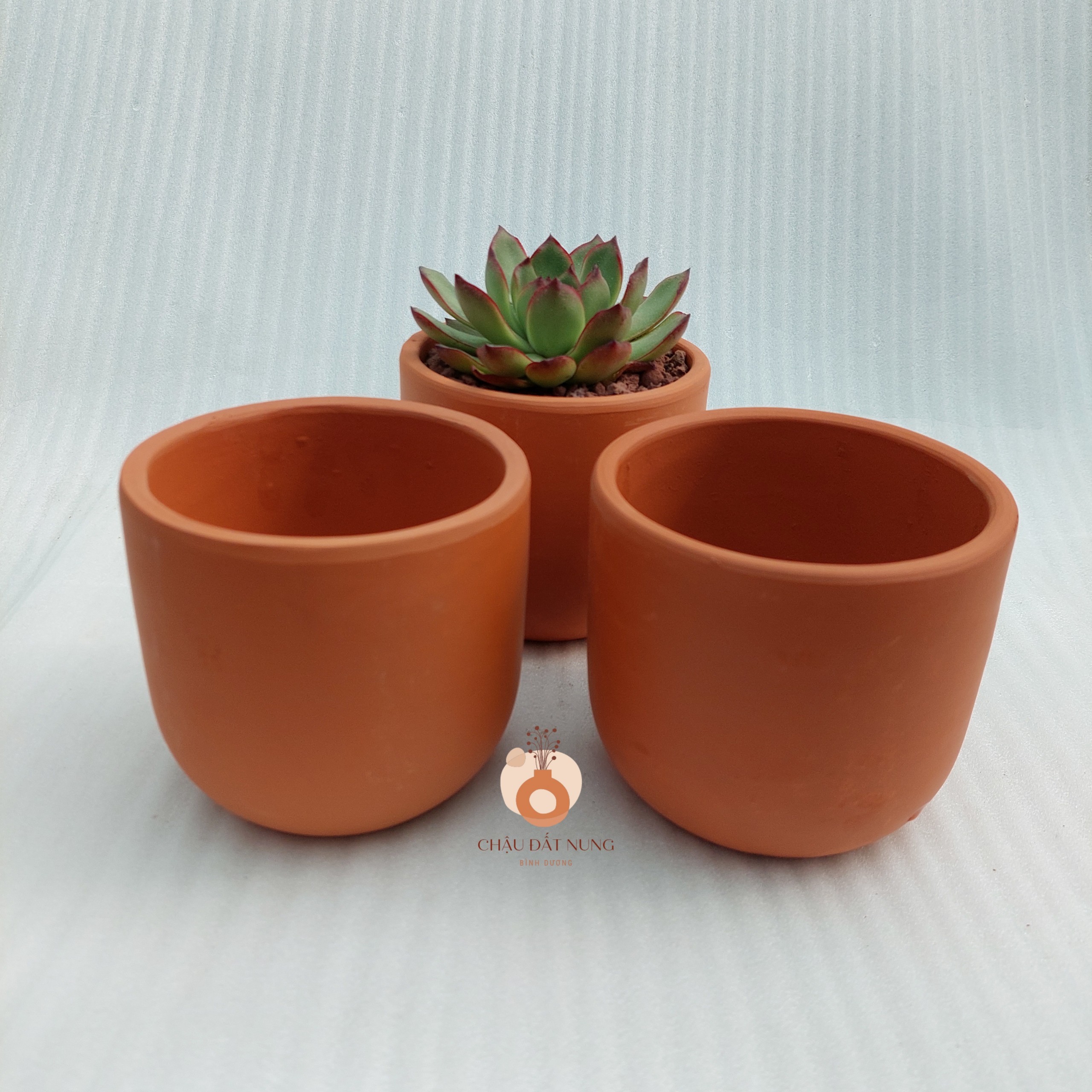 Chậu đất nung Bình Dương - Trụ trứng 1210, miệng chậu 12cm, chiều cao 10cm