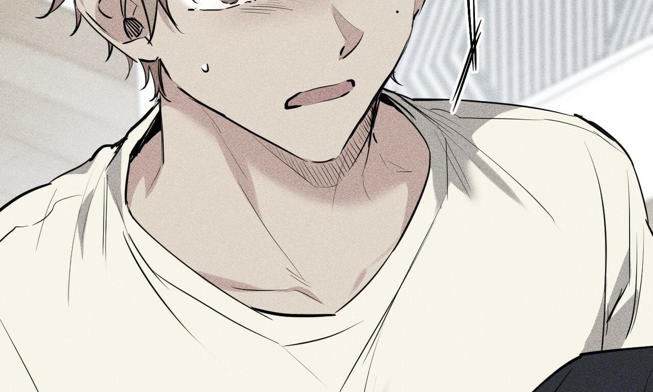 đàn thỏ của habibi chapter 37 13