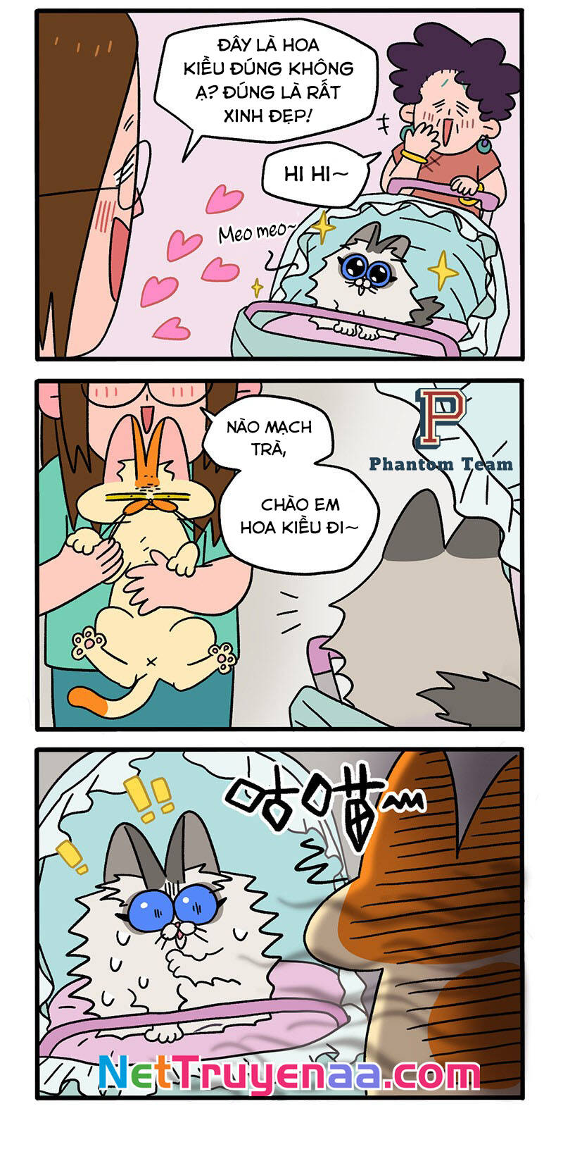 a mãn và mạch trà chapter 33 2