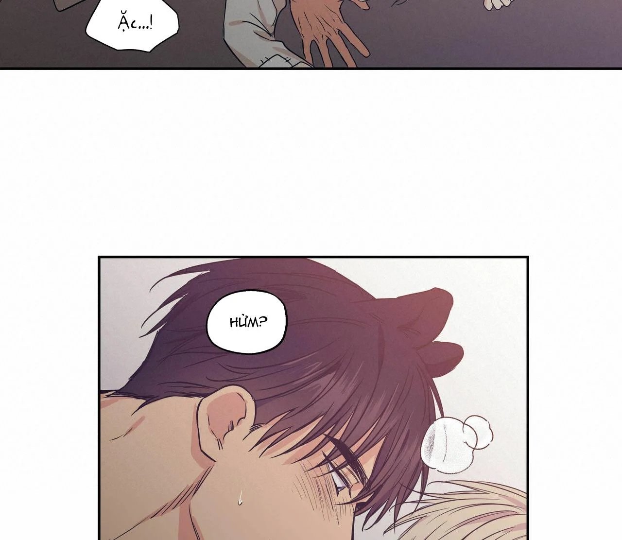 không chốn yêu đương chapter 64.5 31