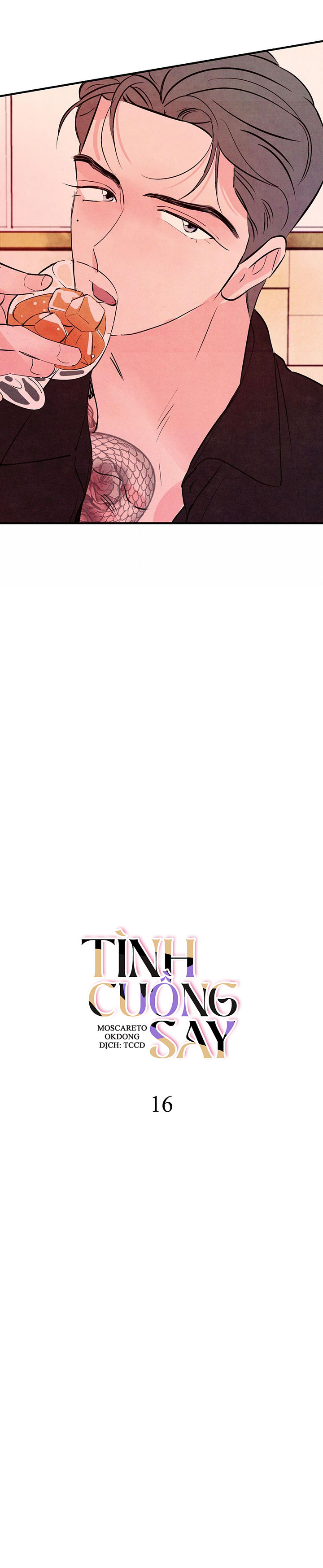 tình cuồng say chapter 16 6