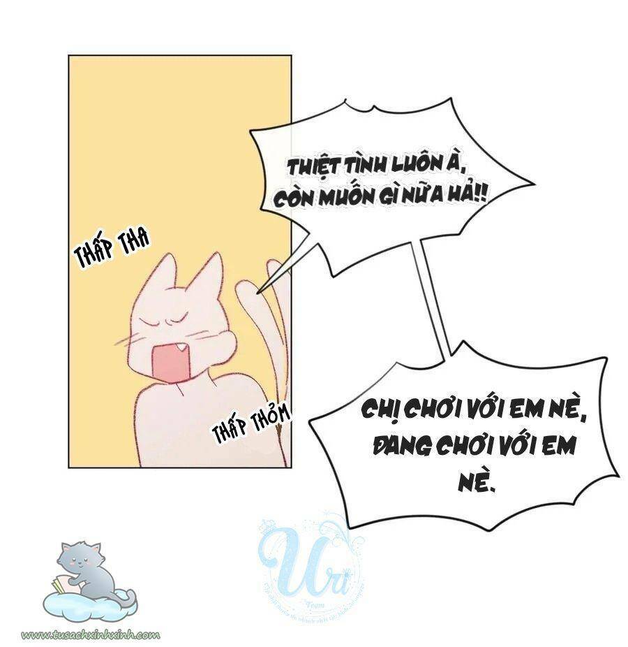 nhật ký nấm ma cô chapter 22 43