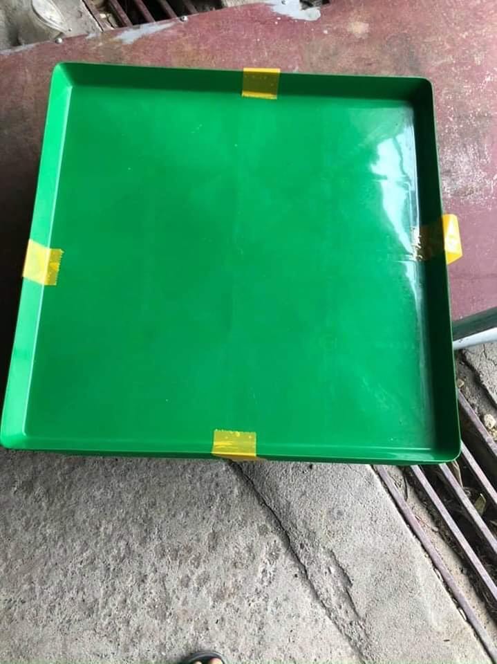 5 Khay Đựng Nước - Máng Chim KT 50 X 50 Sâu 3cm