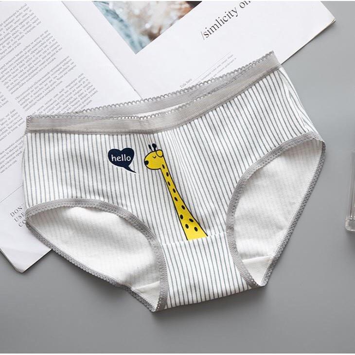 Sét 5 Quần Lót Cotton