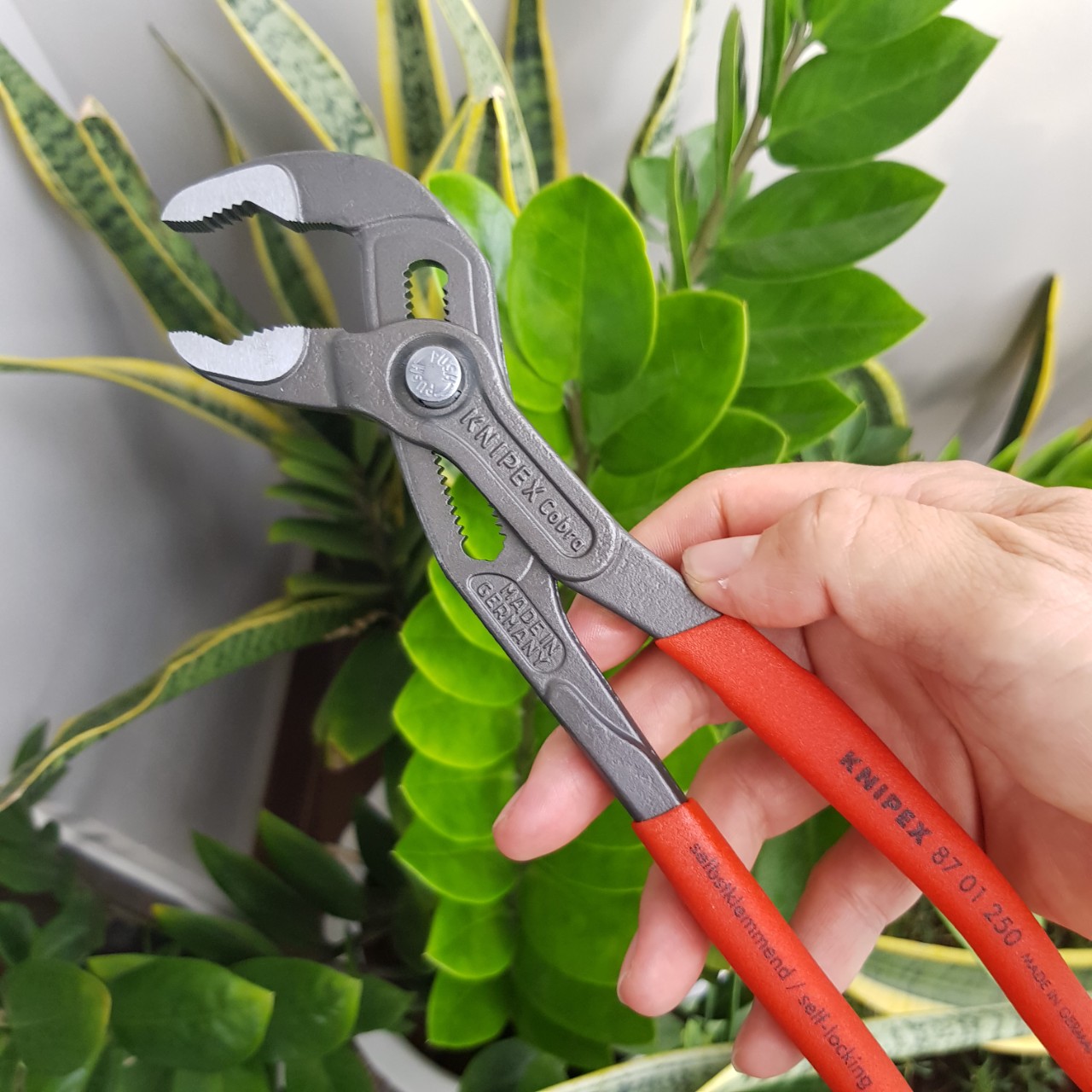 Kìm nước Cobra KNIPEX - 87 01 250