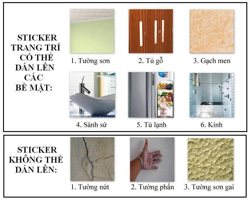 DECAL DÁN TƯỜNG COMBO HOA MẪU ĐƠN NGŨ SẮC 2