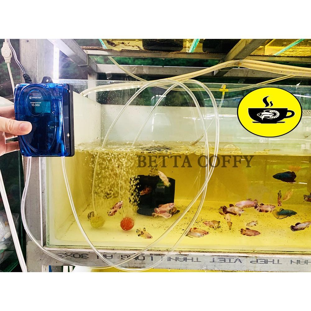 Máy sục khí oxy 1 vòi - Loại tốt nhất | Tặng Dây + Sủi