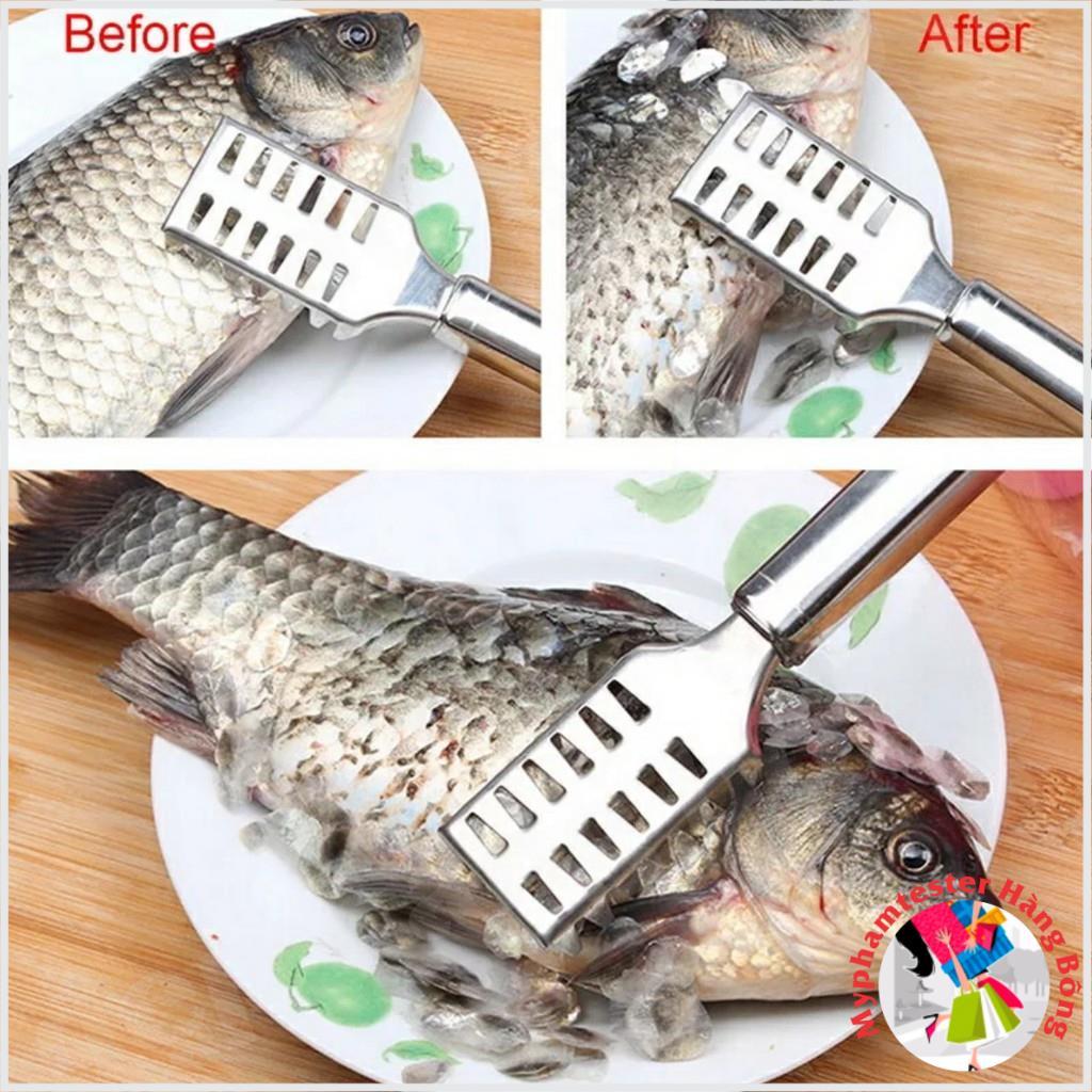 Dụng cụ đánh vẩy cá inox