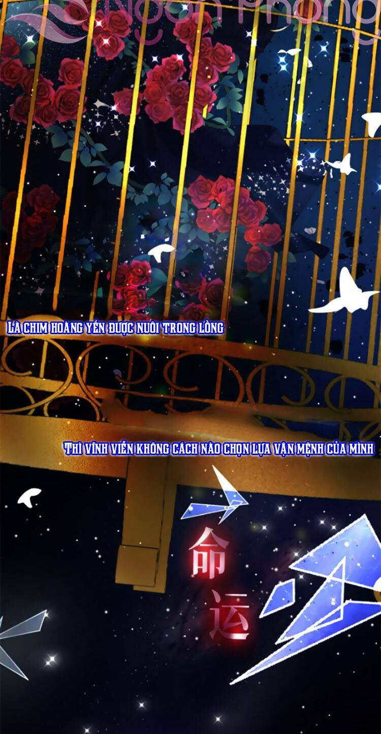 ngày tháng được giáo chủ đại nhân sủng ái chapter 0 3