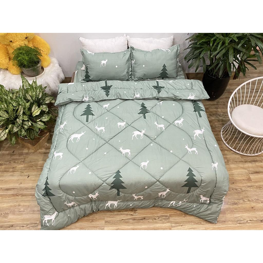 Set phao 5 món siêu rẻ