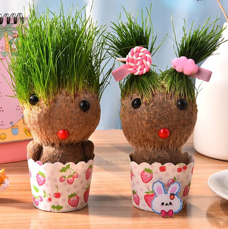 Búp bê đầu cỏ mọc tóc mini dễ thương trồng cây cỏ trang trí phòng học bàn làm việc tạo sự may mắn