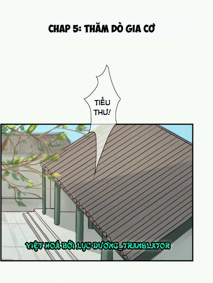chỉ phu vi thê chapter 5 1