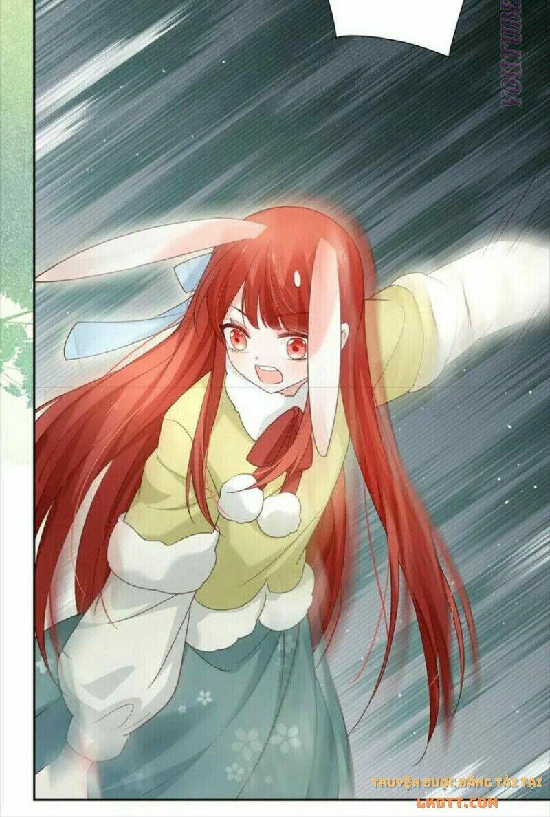 hắc hóa nam chính trực tuyến nuôi thỏ chapter 57 35