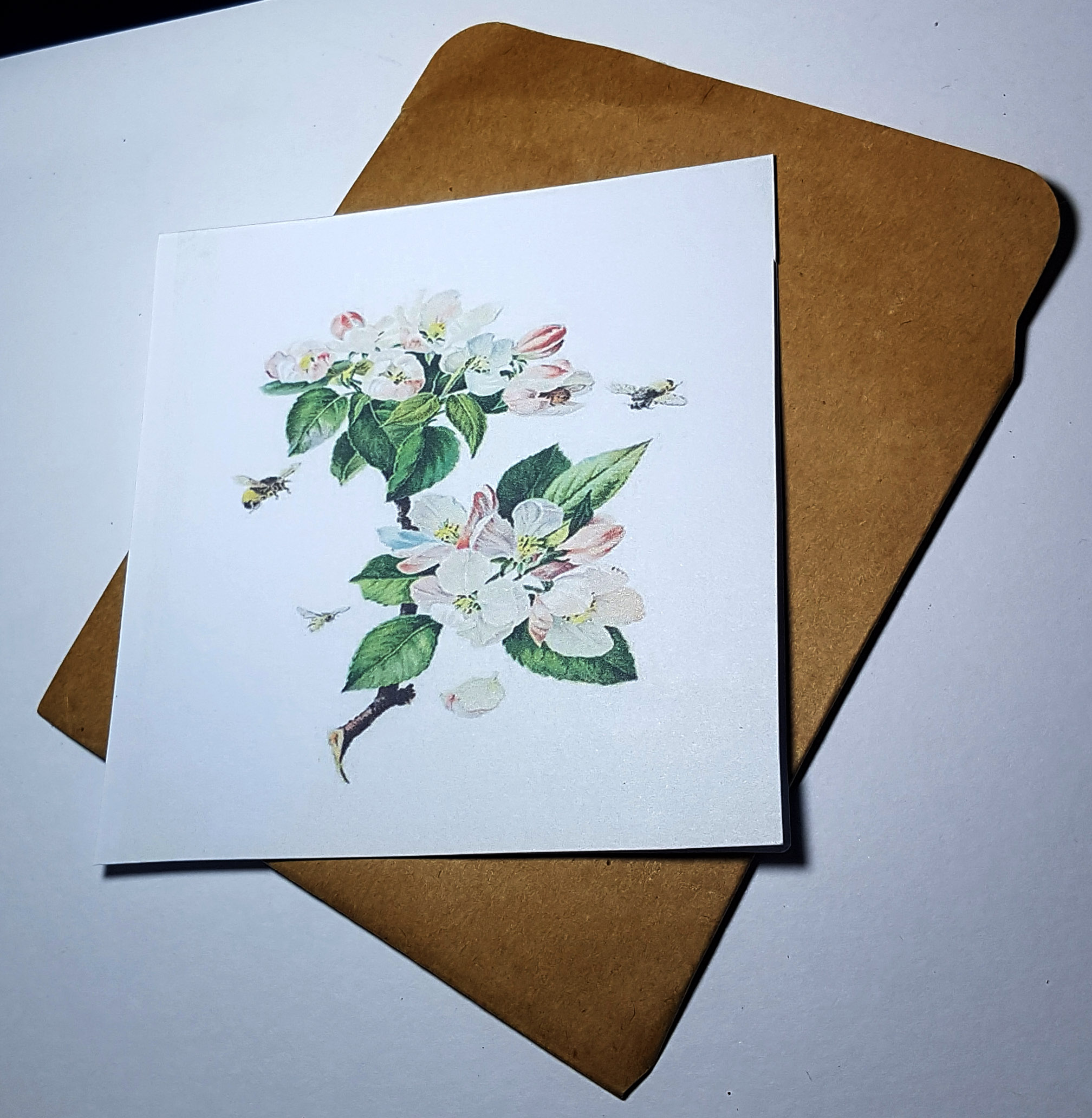 Thiệp phong cách Vintage card quà cám ơn ,chúc mừng sinh nhật và giử tặng người thân yêu.